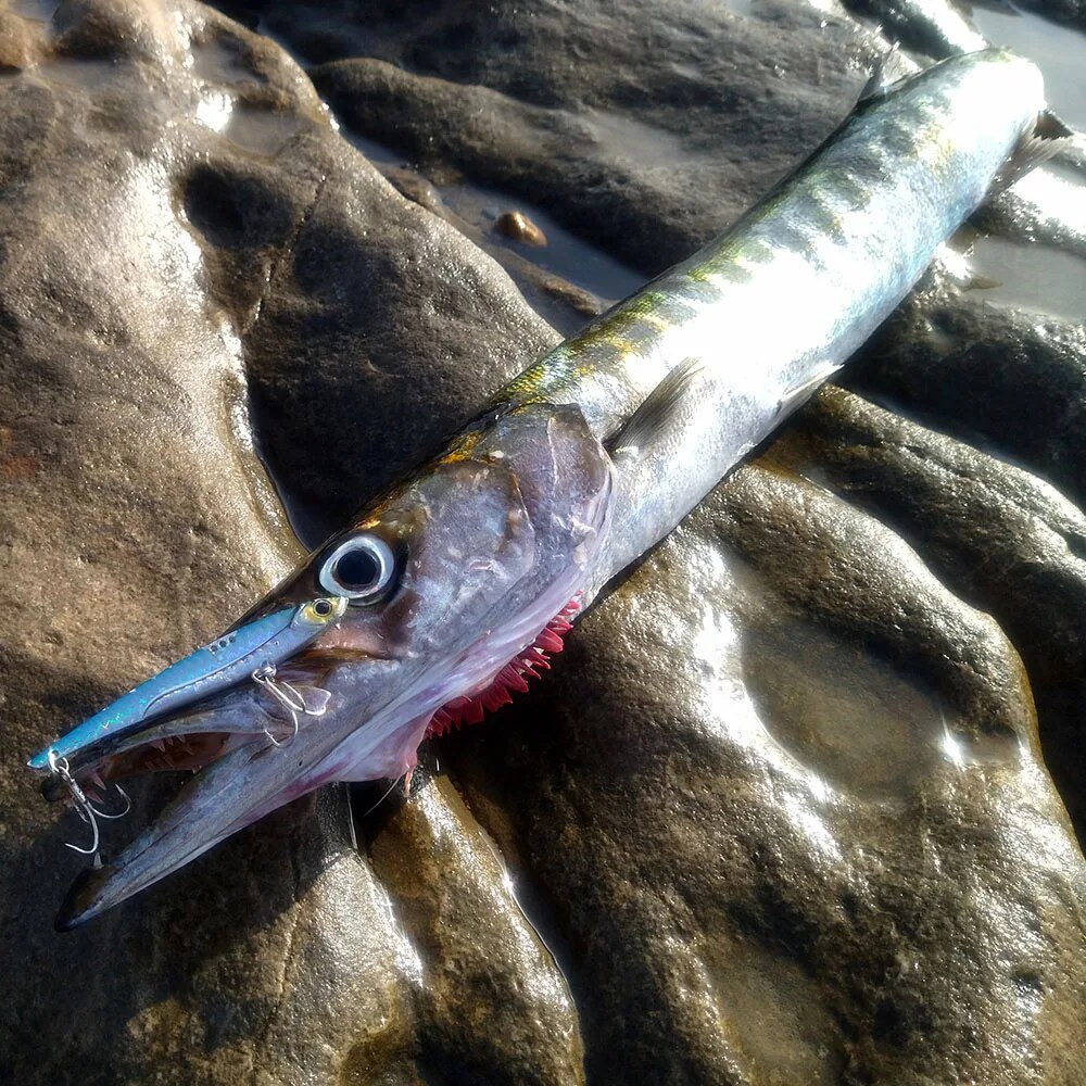 ゴベイトフィッシングルアー,金属ジグ,シンキングブレード,ト - Fishing Hook Treble のレビューと価格
